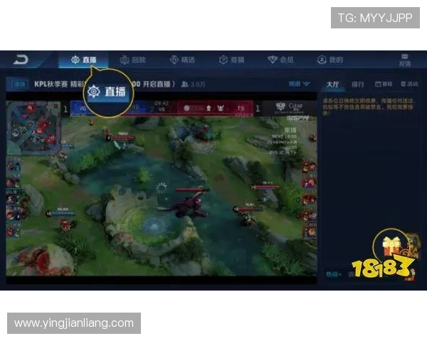 AGVIP官网官方平台详细介绍，提供最全的注册登录指南与最新优惠活动